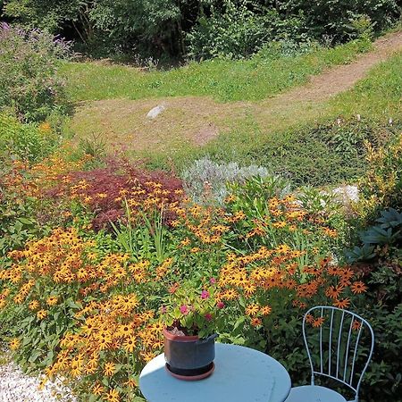 Il Ciliegio Bed & Breakfast Imer Bagian luar foto
