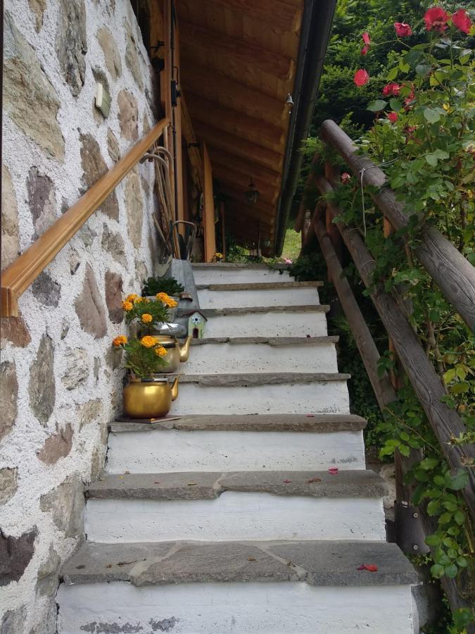 Il Ciliegio Bed & Breakfast Imer Bagian luar foto