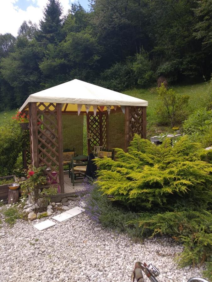 Il Ciliegio Bed & Breakfast Imer Bagian luar foto