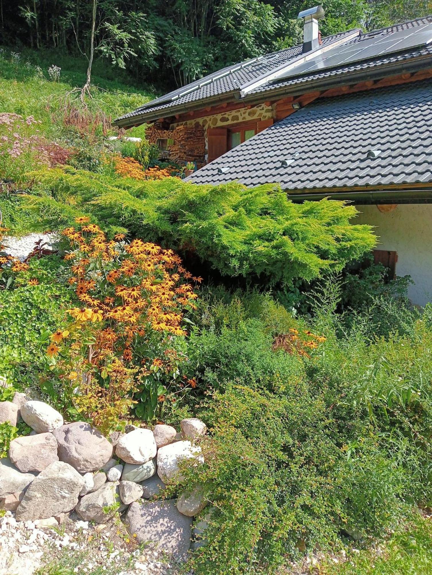 Il Ciliegio Bed & Breakfast Imer Bagian luar foto