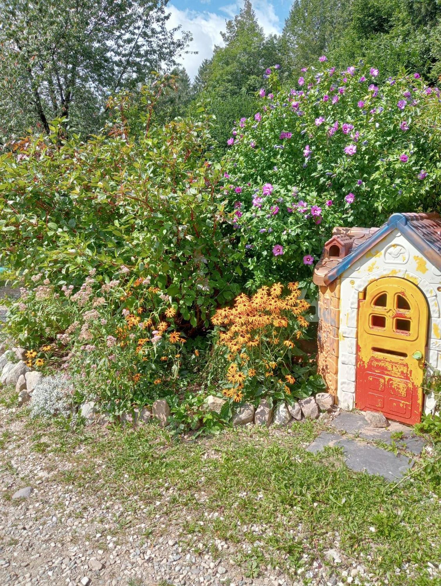 Il Ciliegio Bed & Breakfast Imer Bagian luar foto